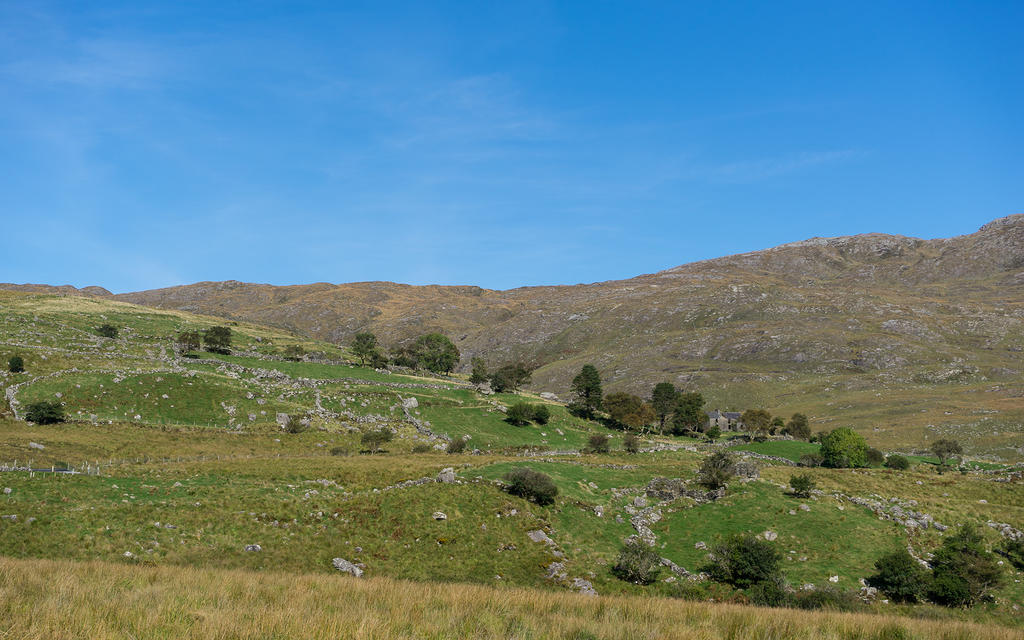 Stone fences