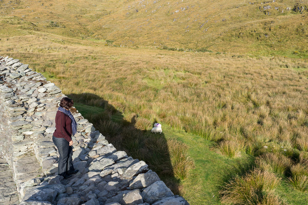 Staigue Stone Fort