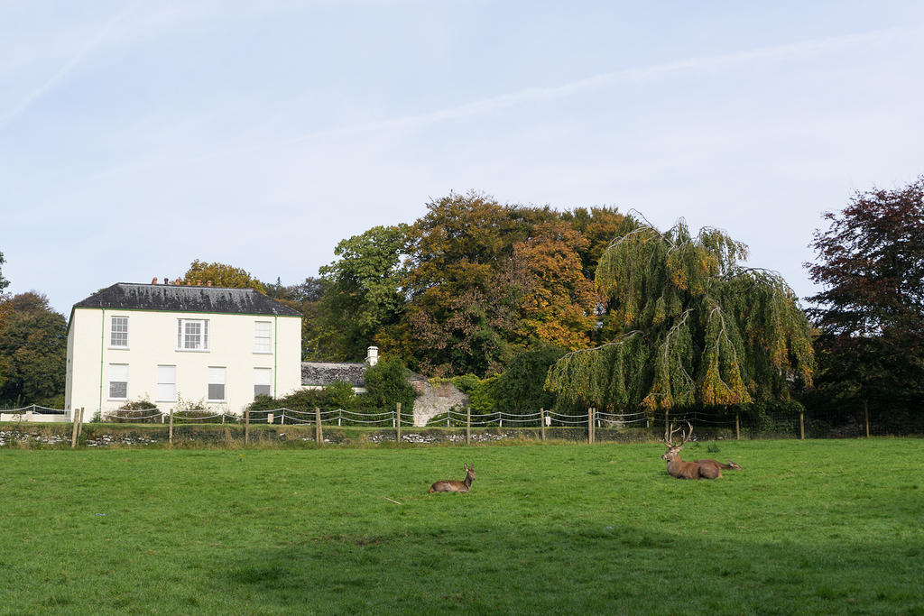 Bunratty heritage park deer