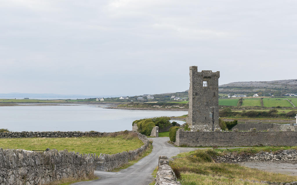 Muckinish West Tower House