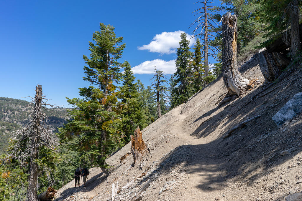 Pacific Crest Trail