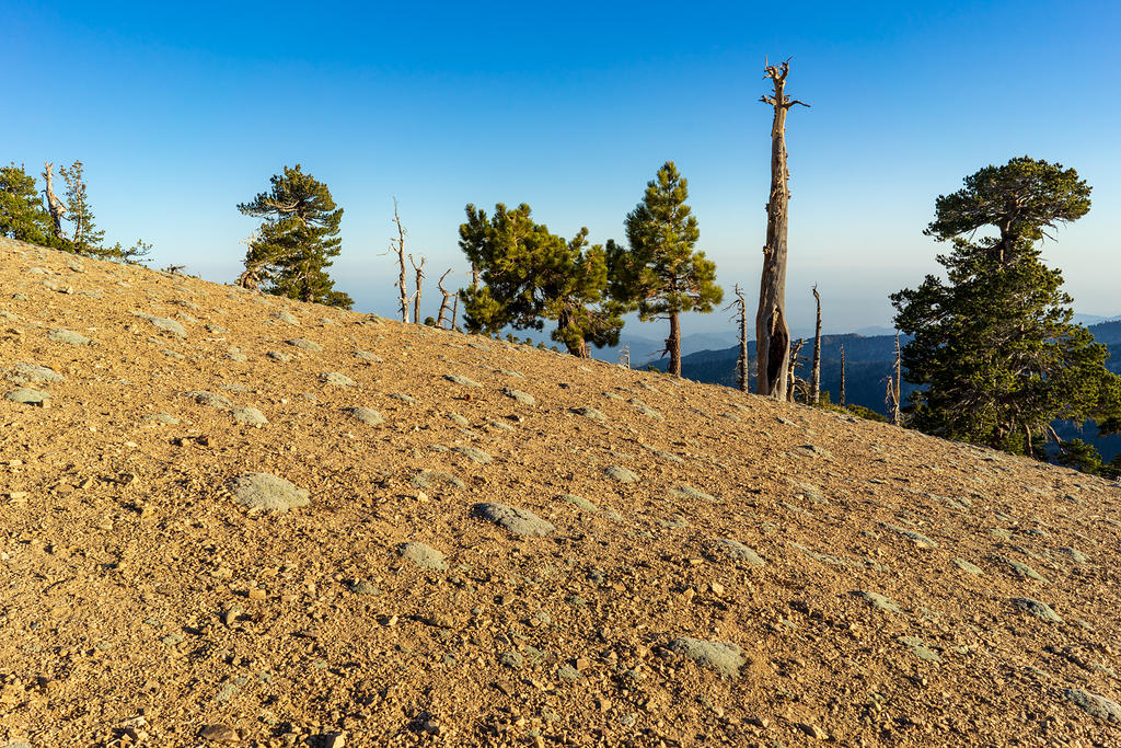 Mount Baden-Powell summit