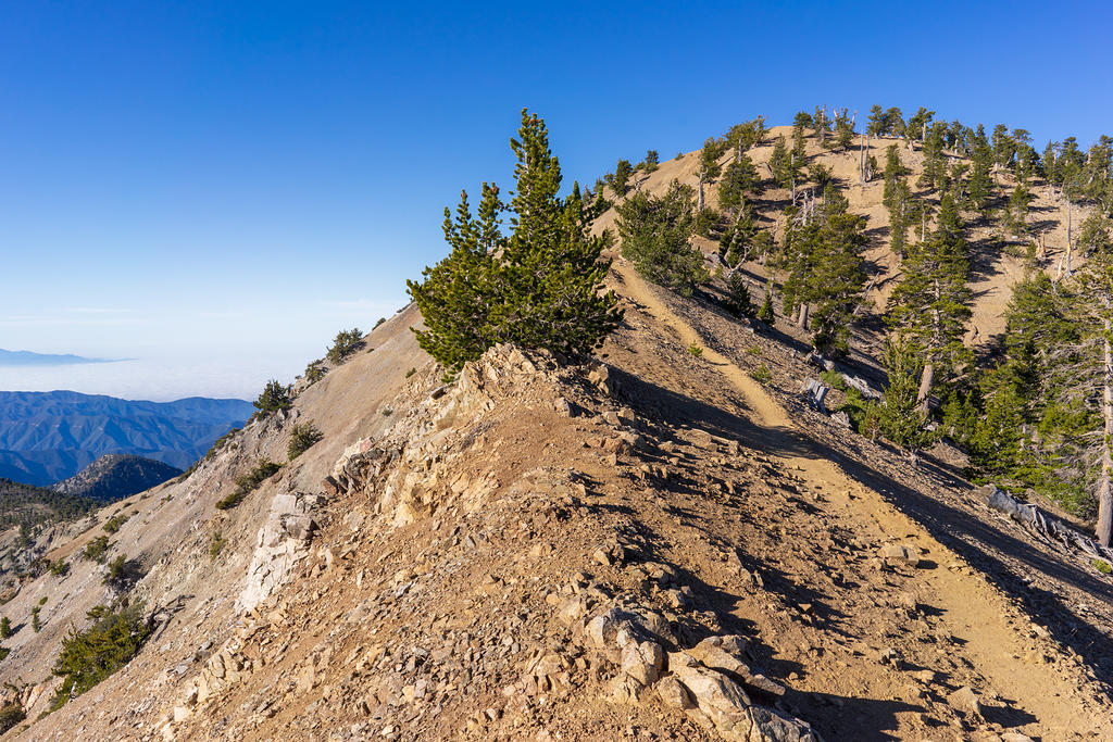 Mt Baden-Powell saddle