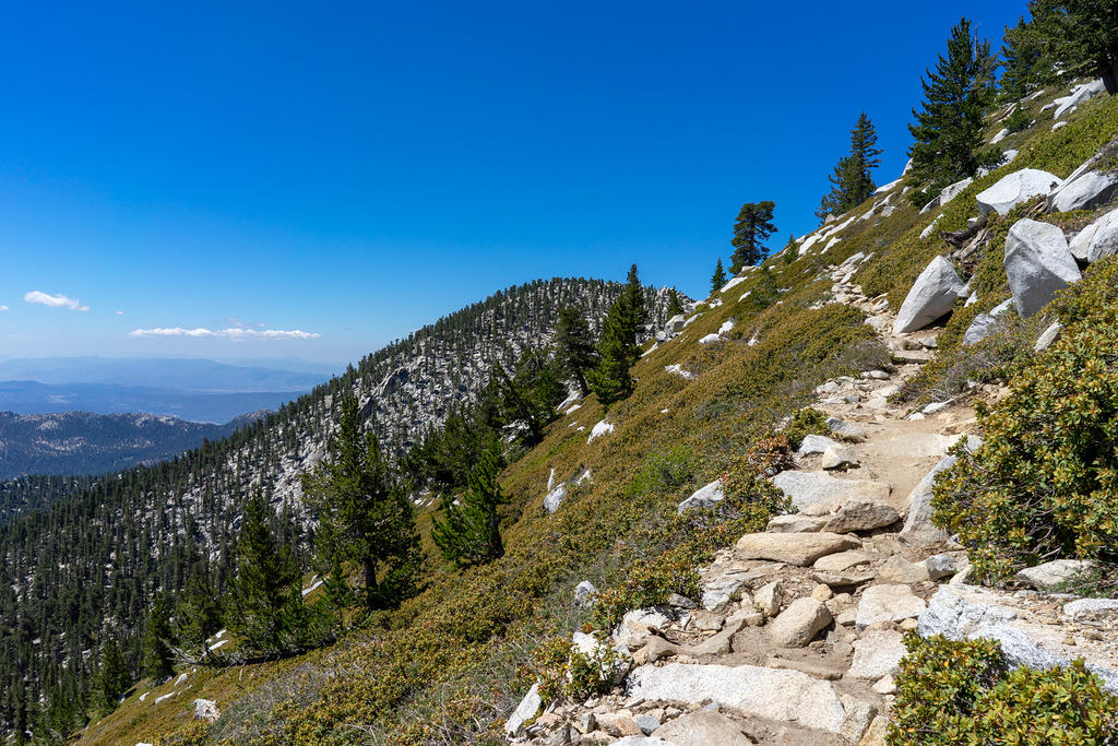 Mt. San Jacinto Summit Trail