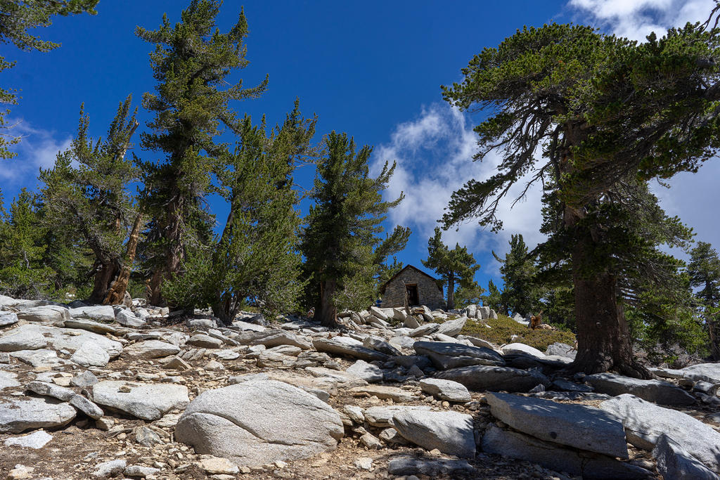 Mt. San Jacinto Summit Trail