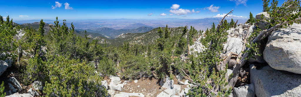 Looking west from Mt. San Jacinto summit