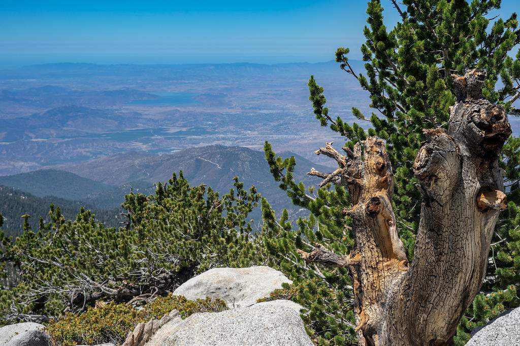 Mt. San Jacinto Summit, looking west