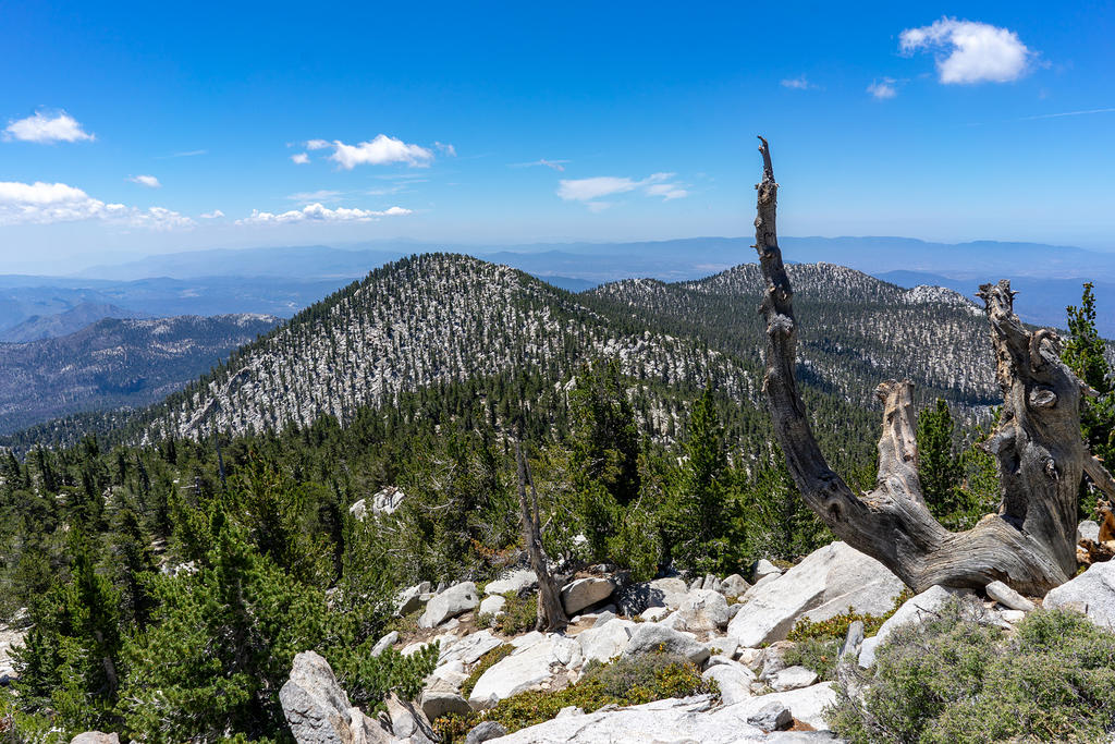 Looking south from near the summit of San Jacinto