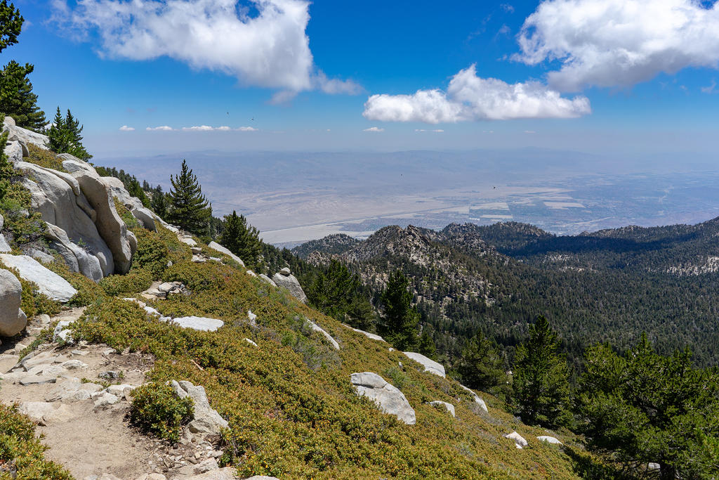 Mt. San Jacinto Summit Trail