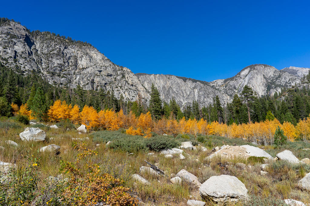 Upper Paradise Valley with fall colors