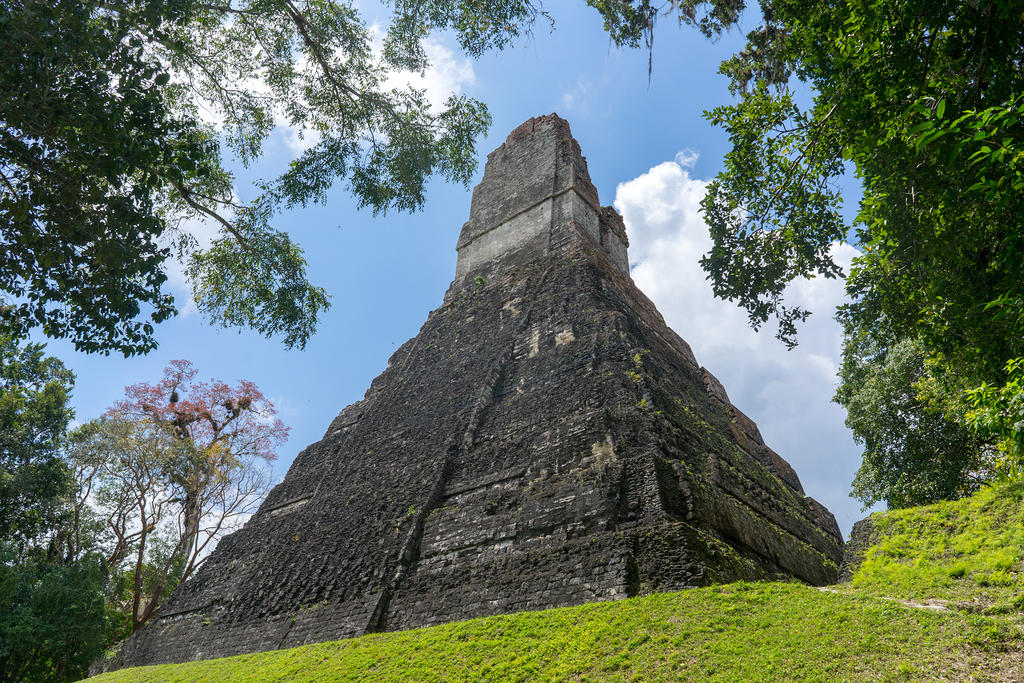 The Great Jaguar Tikal