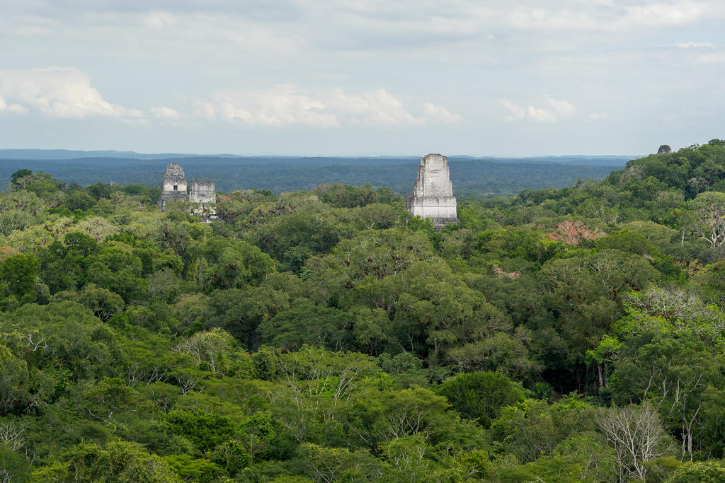 Temple I & II from Temple IV