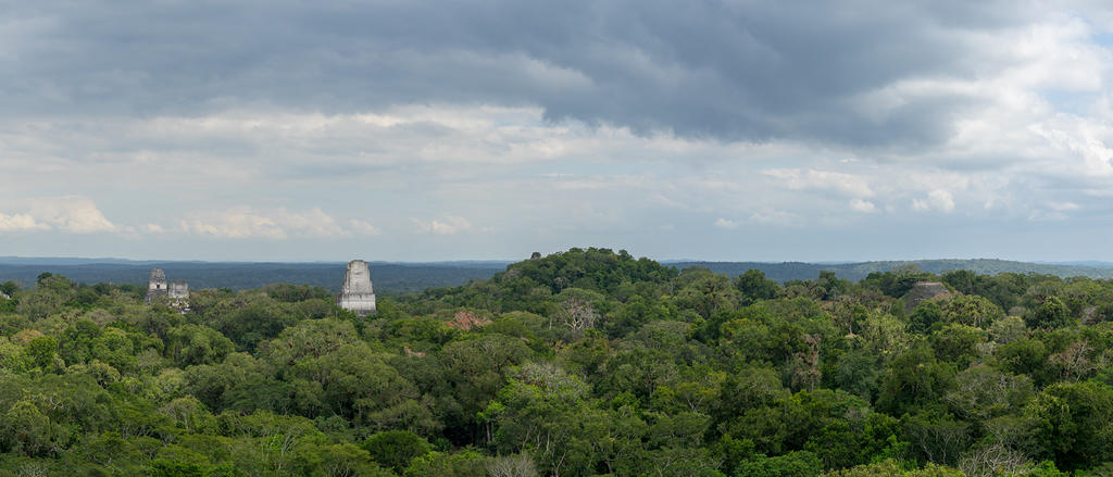 Tikal view from Temple IV