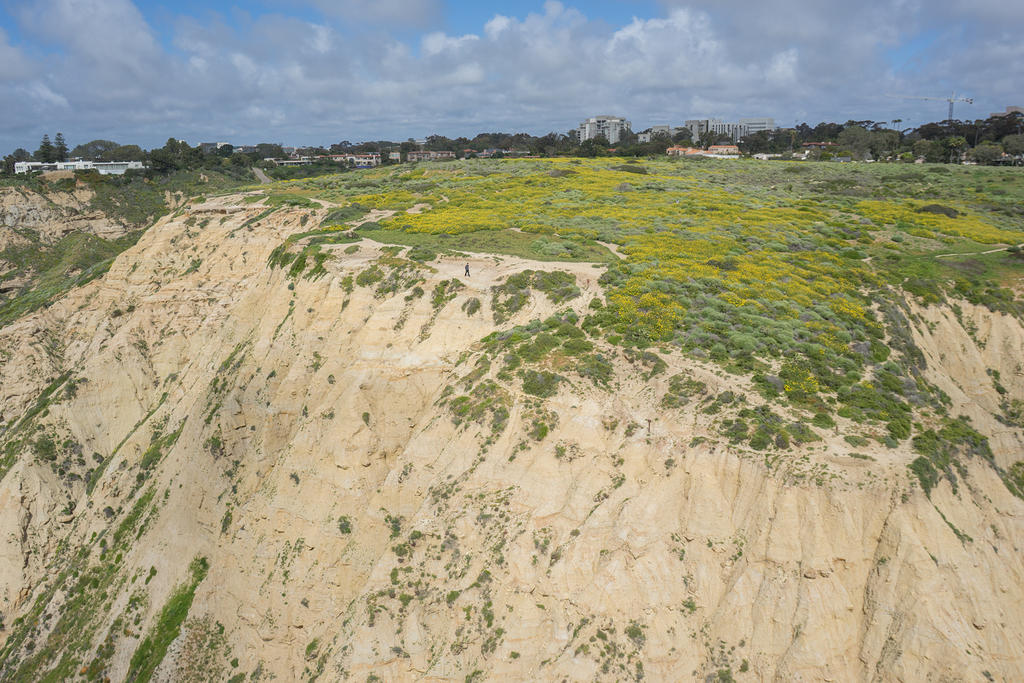 Paragliding Torrey Pines