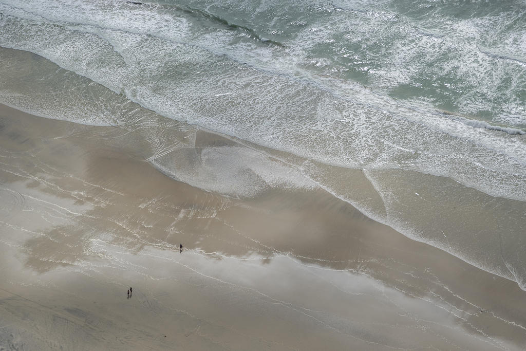 Tiny beach walkers