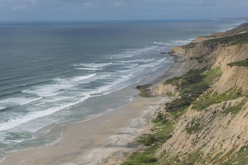 Paragliding Torrey Pines