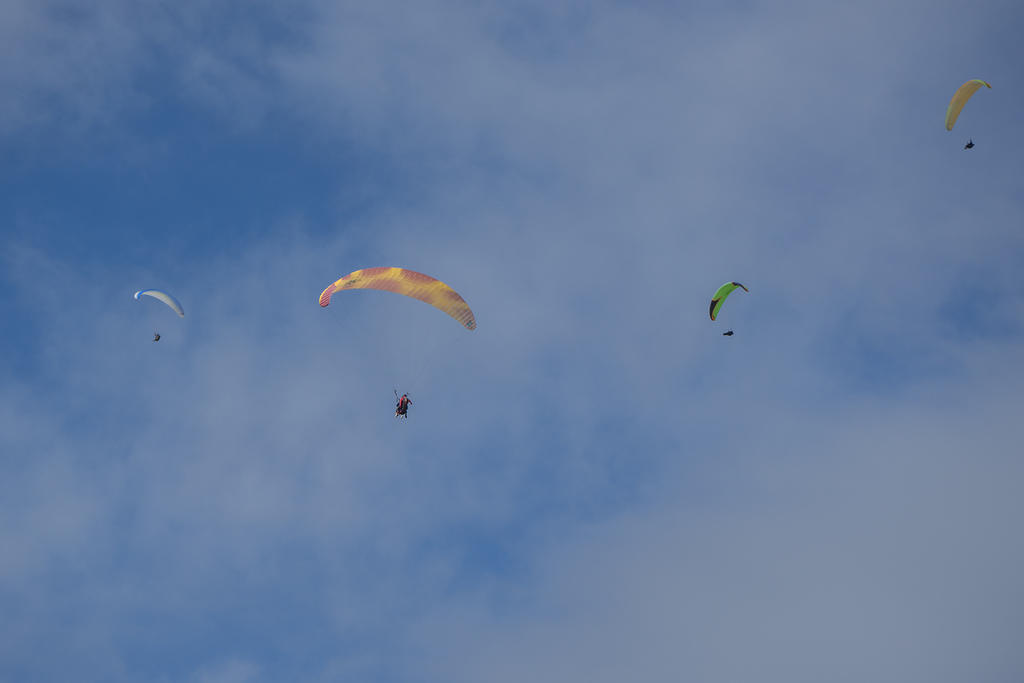 Paragliders