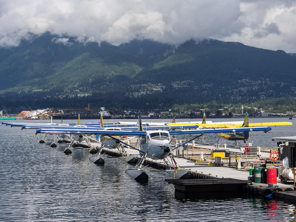 Seaplanes lined up