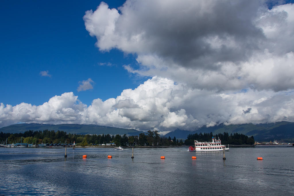 Paddle boat cruise