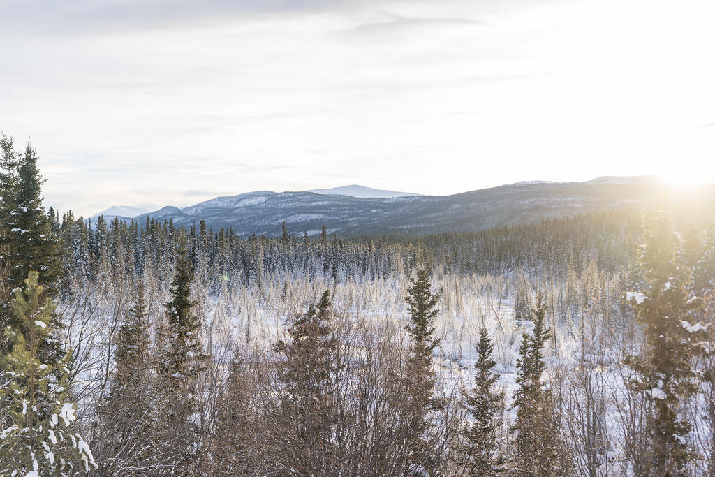 Whitehorse Copper Trail