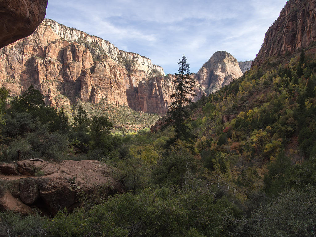 Zion valley view