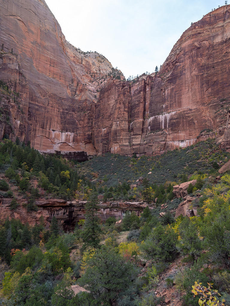 Zion's Emerald Pools Trail