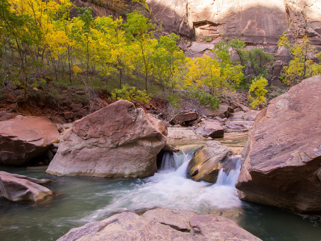 Zion river, fall colors