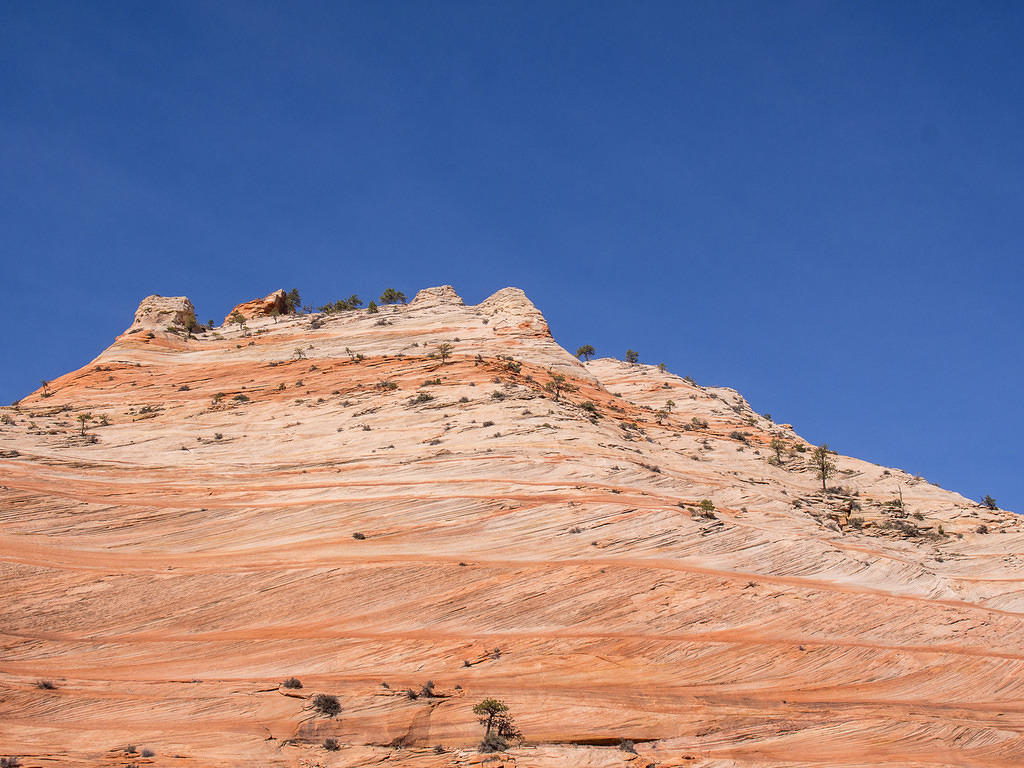 Zion rock formations