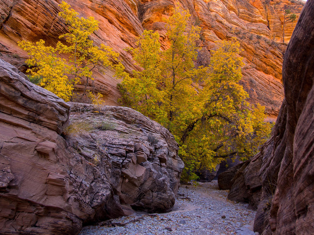 Dry creekbed fall colors