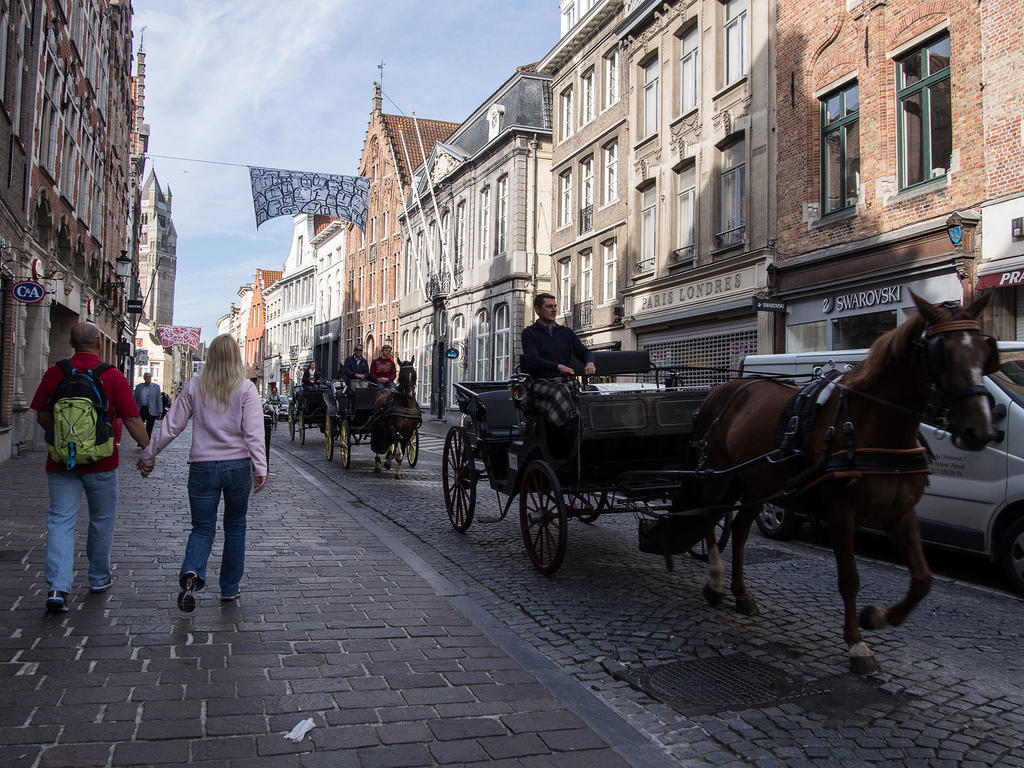 Bruges horse carriage