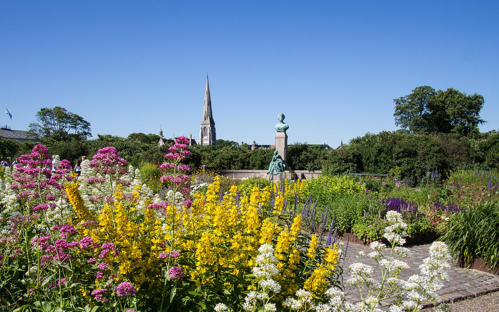 Flowers in Langelinie park