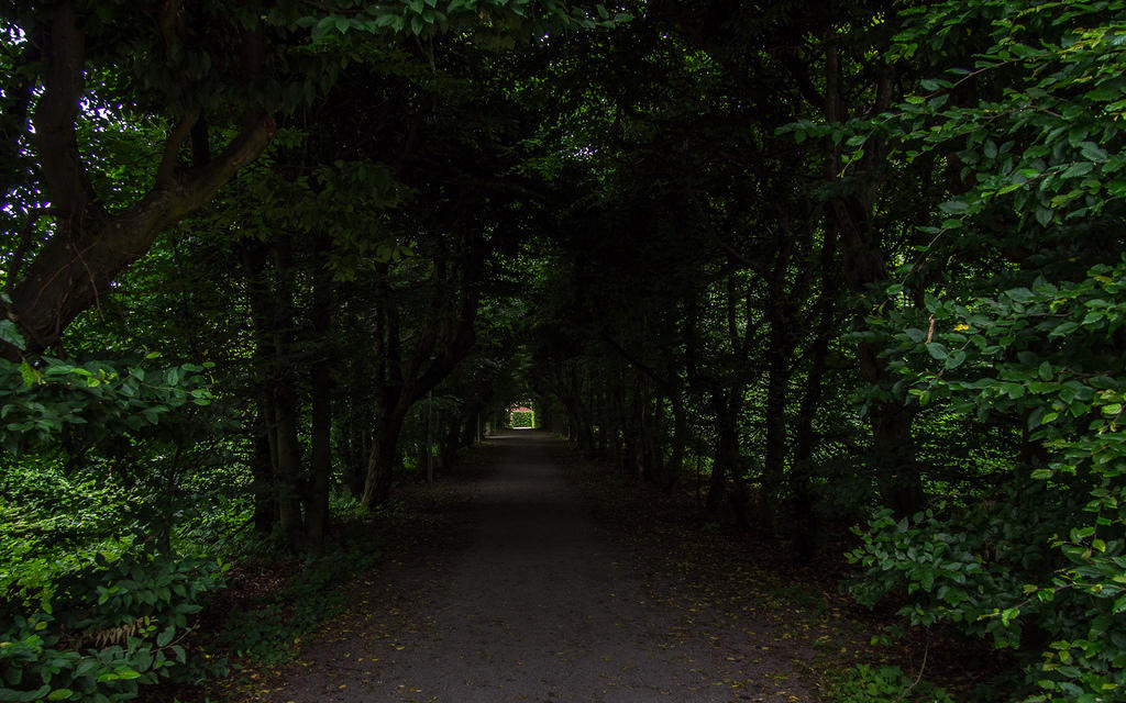 Tree covered walkway