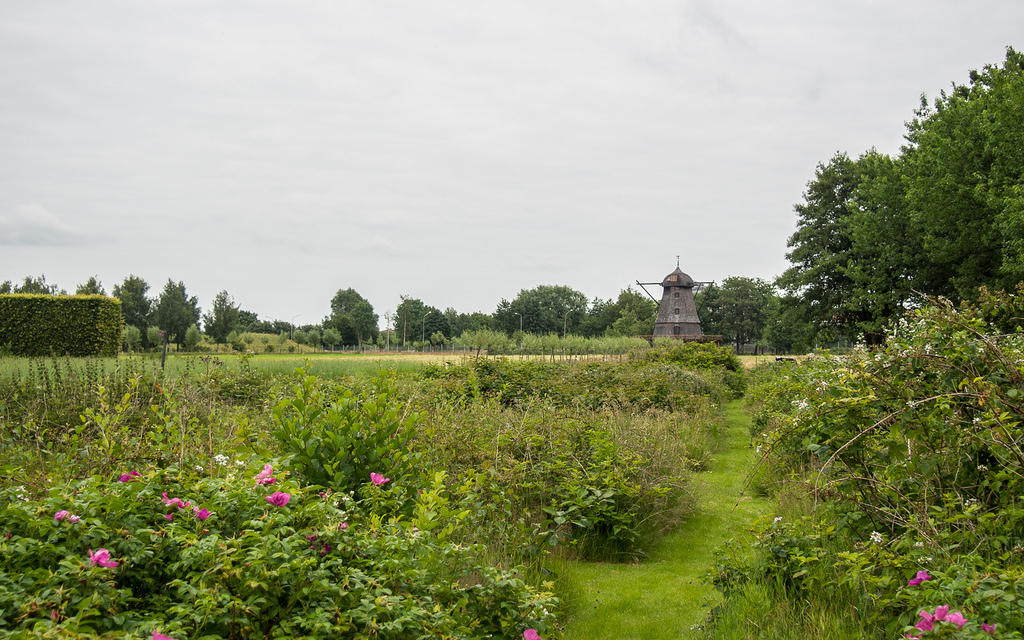 Windmill at Fredriksdal