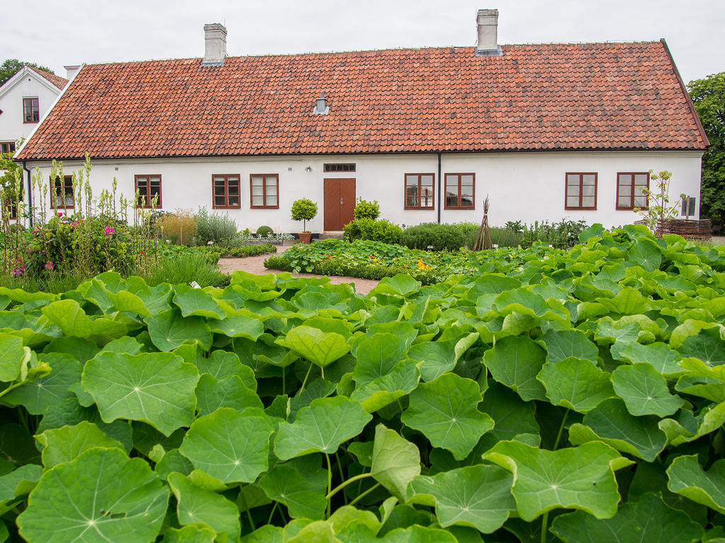 Fredriksdal houses