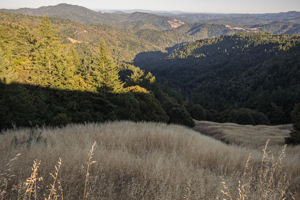 Rolling hills of Humboldt County