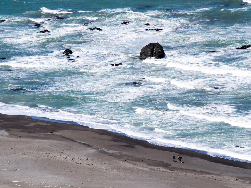 Hikers on the Loast Coast Trail