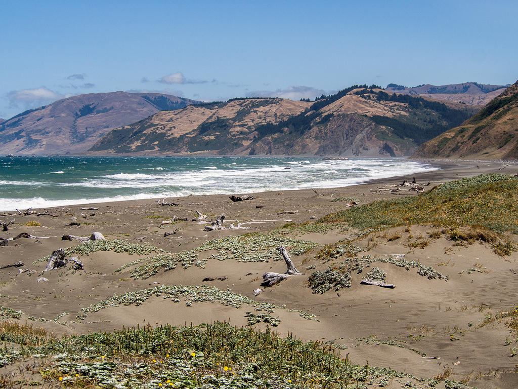 Sandy dunes