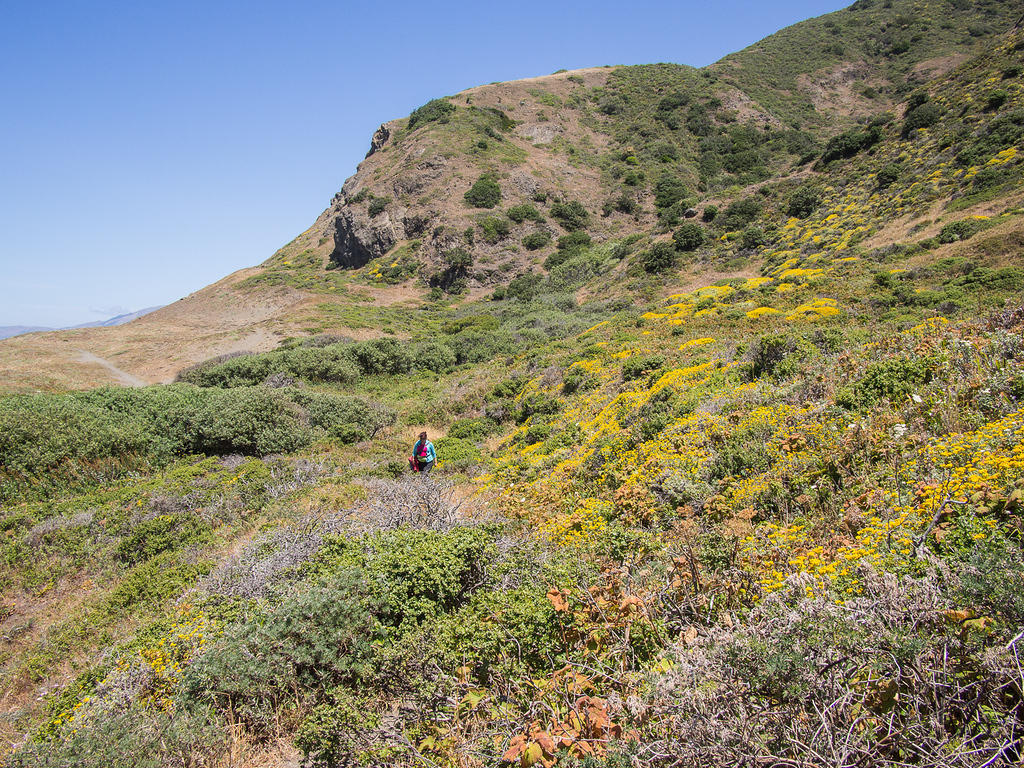 Anna walking the Lost Coast Trail