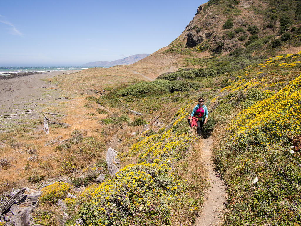 Anna walking through wildflowers