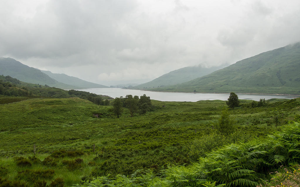 Foggy loch