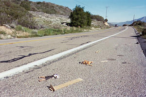 Barbie roadside accident