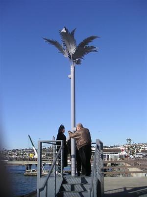 Palm periscope urban tree