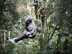 Anna kicking trees on the zipline