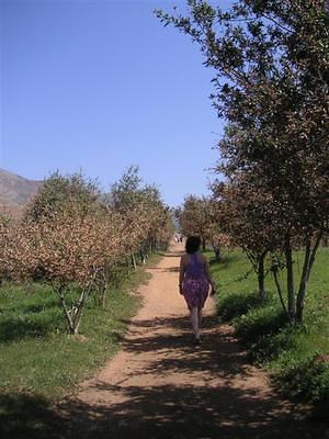 Anna walking along the Iron Mountain path