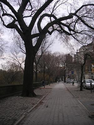 East edge of Central Park