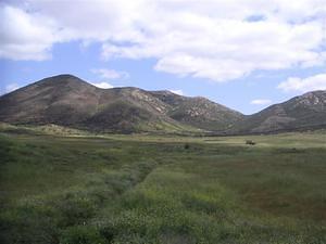 Green fields and Iron Mountain