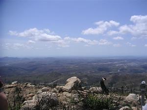 Looking west from the top of Iron Mountain