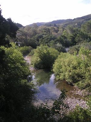 Andrew Molera campground creek