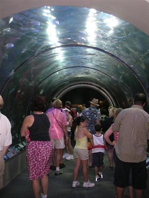 Aquarium of the Americas tunnel