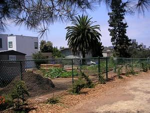 The Golden Hill Community Garden